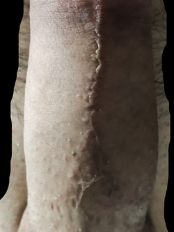 Si lavora e si fatica...