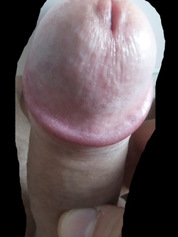 Foto varie Ottobre 2025