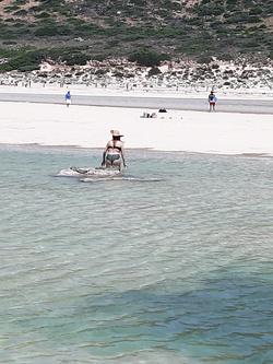 CELINFORD ON XHAMSTER.COM FEMALE GENITAL MUTILATION PORNO