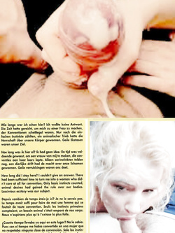 UN PO DI SEGHE CON IL VINTAGE