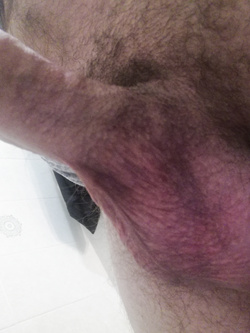 Presentazione Parte 12