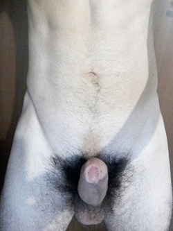 Tutto da succhiare Parte 2