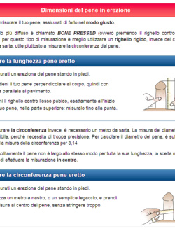 foto nuove e scheda di candidatura