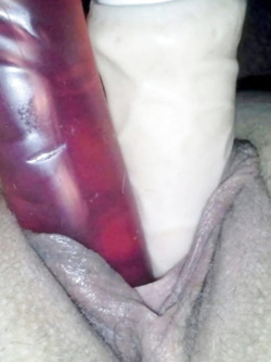 Cagna svuotapalle Parte 2