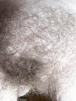 Primi piani della maiala