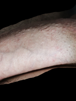 Le vacanze son finite