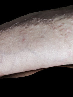 Le vacanze son finite