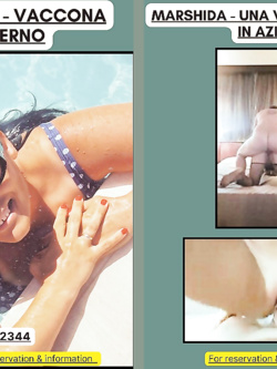 ESIBIZIONI DI PORCHE QUALUNQUE