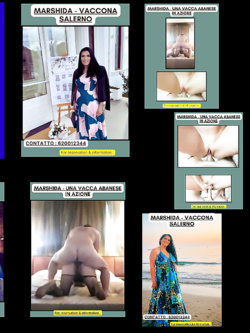 ESIBIZIONI DI PORCHE QUALUNQUE