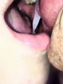 Nuovamente in mostra