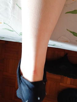 Come si umilia un Padrone