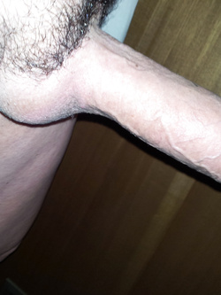 IL MIO CAZZO Parte 2