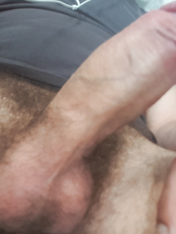 Il mio cazzone per voi