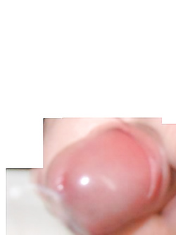 Il mio amico..............