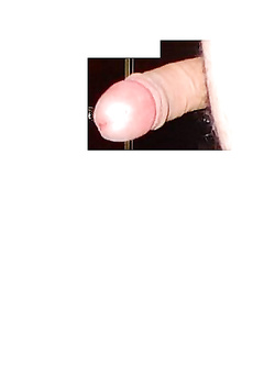 Il mio amico..............