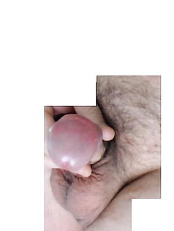 Il mio amico..............