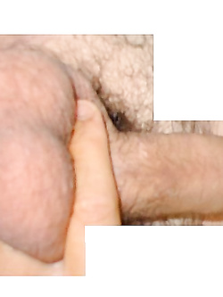 Il mio amico..............