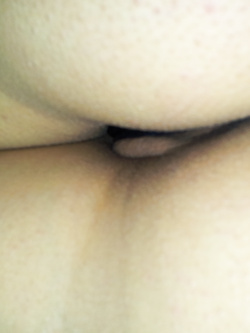 la porca della sposina