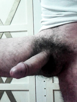 ancora qua con il mio cazzo