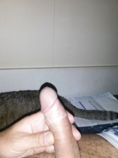 Il mio cazzo Parte 140