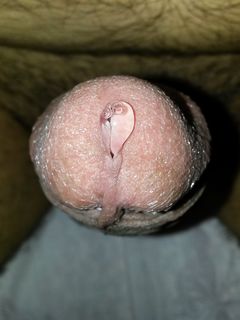 Precum