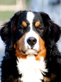 !!!!!!!..............