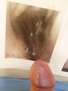 contributo per cagna vogliosa