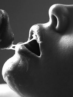 presentazione di un bull