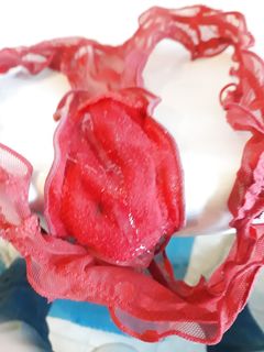 Vediamo cosa ne esce!!!