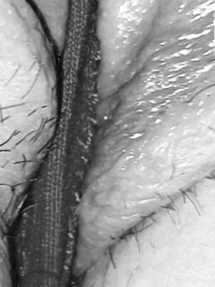 Un voto alla donna delle pulizie