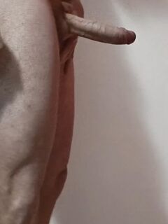 Il mio cazzo per voi. Pareri?