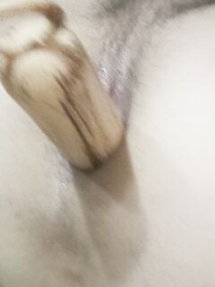 anal selfie Parte 8