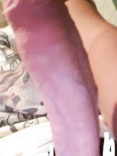 Vi piace il mio amico?